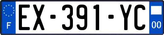 EX-391-YC