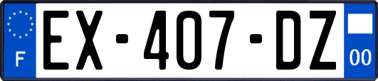 EX-407-DZ