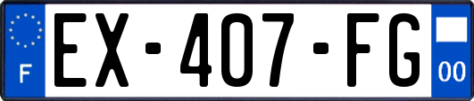 EX-407-FG