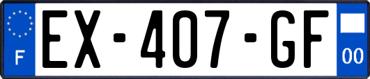 EX-407-GF