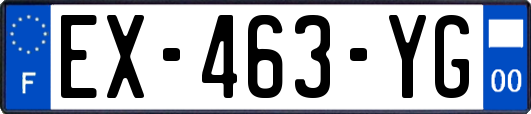 EX-463-YG
