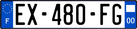 EX-480-FG
