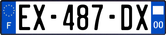 EX-487-DX