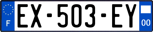 EX-503-EY