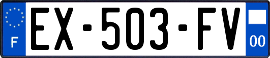 EX-503-FV
