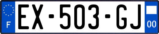 EX-503-GJ