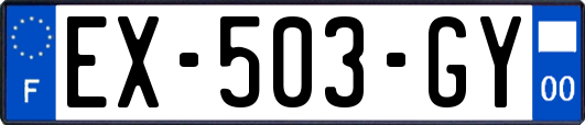 EX-503-GY