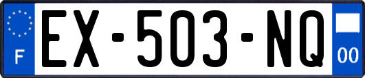 EX-503-NQ