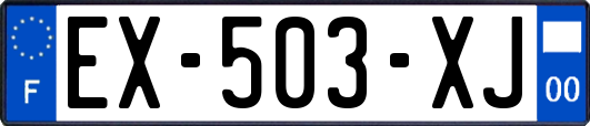 EX-503-XJ