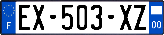EX-503-XZ