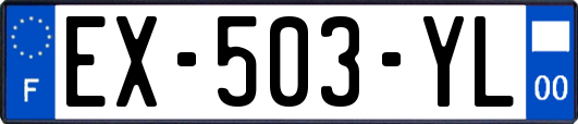 EX-503-YL