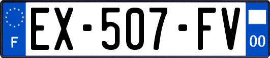 EX-507-FV