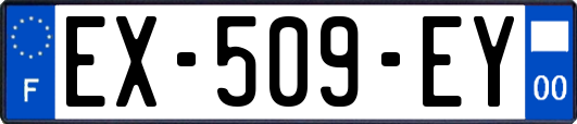 EX-509-EY