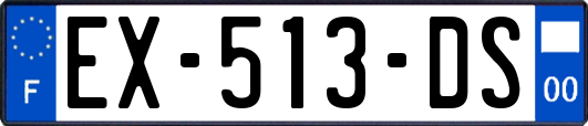EX-513-DS