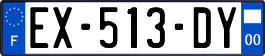 EX-513-DY