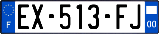 EX-513-FJ