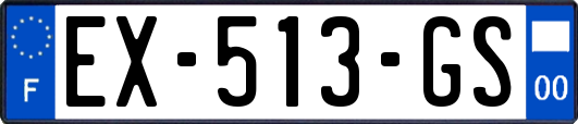 EX-513-GS