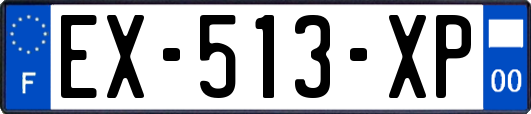EX-513-XP