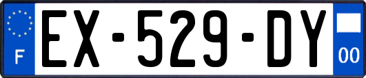 EX-529-DY