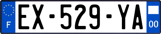 EX-529-YA