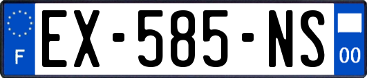 EX-585-NS