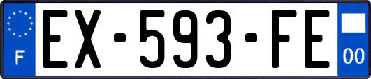 EX-593-FE
