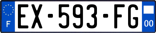 EX-593-FG