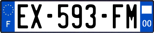 EX-593-FM