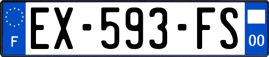EX-593-FS