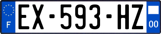 EX-593-HZ