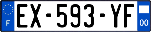 EX-593-YF