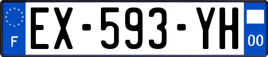 EX-593-YH