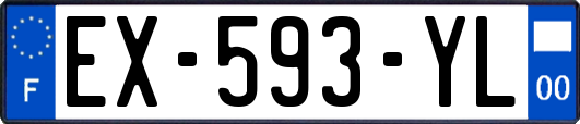 EX-593-YL