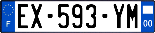 EX-593-YM
