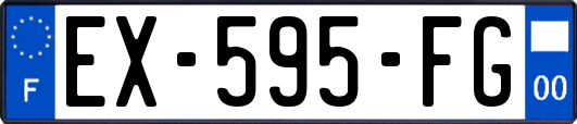 EX-595-FG