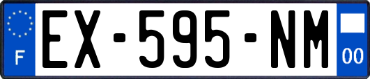 EX-595-NM