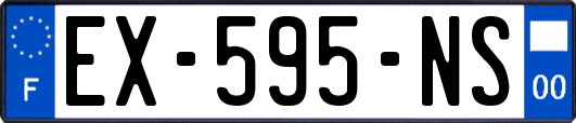 EX-595-NS