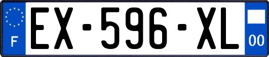 EX-596-XL
