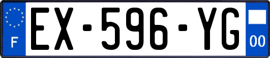 EX-596-YG