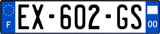 EX-602-GS