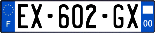 EX-602-GX