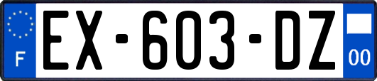 EX-603-DZ