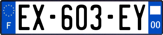 EX-603-EY