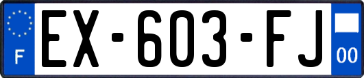 EX-603-FJ