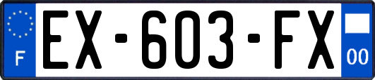 EX-603-FX