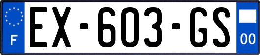 EX-603-GS