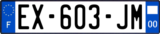 EX-603-JM