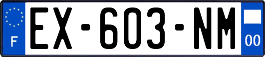 EX-603-NM