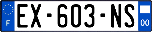 EX-603-NS