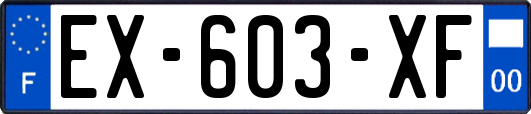 EX-603-XF